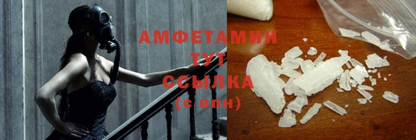 шишки Аркадак